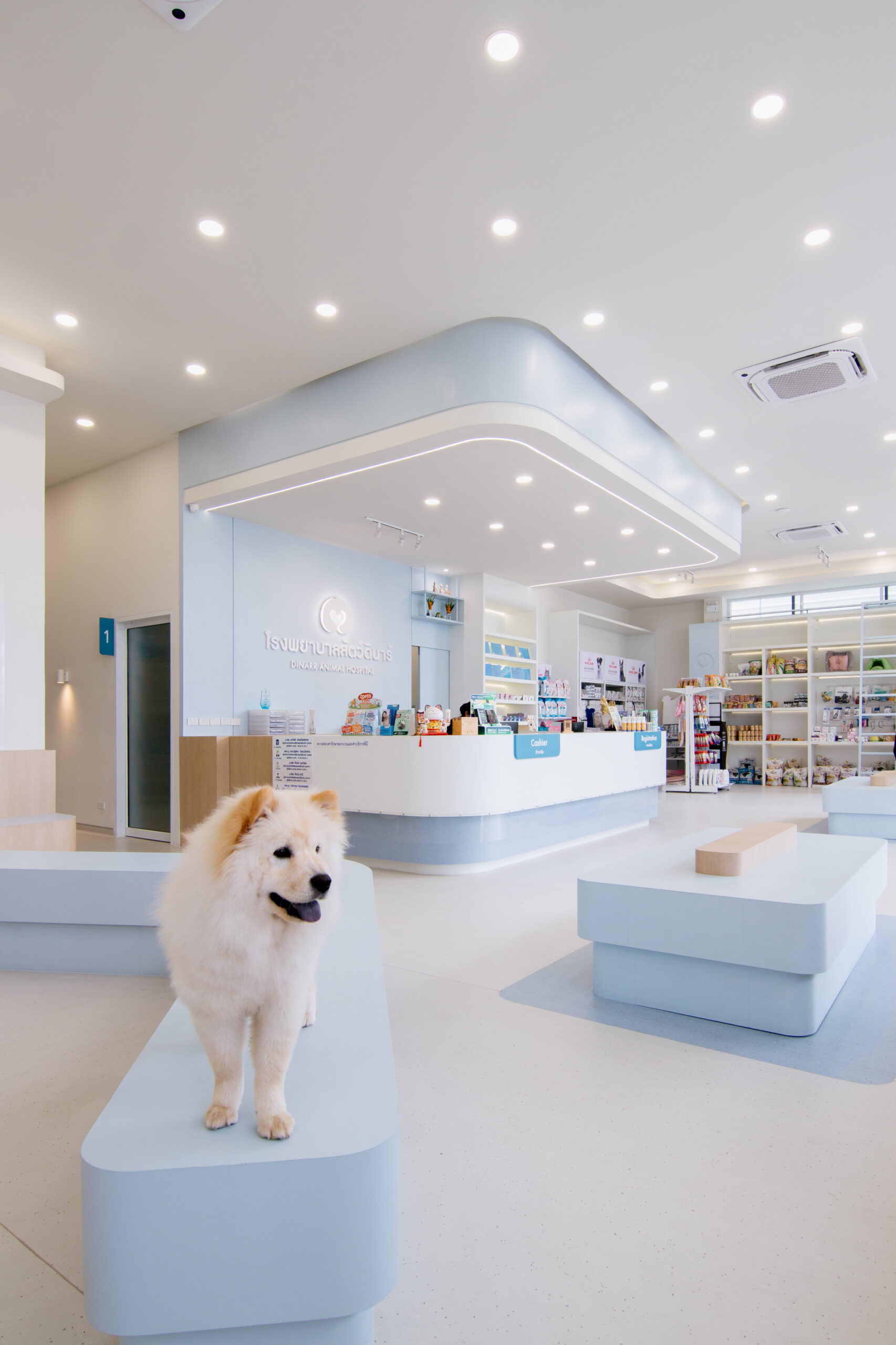 Dinarr animal hospital